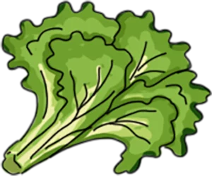 equipment icon