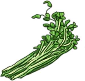 equipment icon