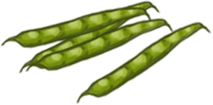 equipment icon